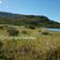  Terreno (Parcela) en venta en Capitán Prat, Aisén del General Carlos Ibáñez del Campo, Tortel, Capitán Prat