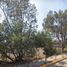  Land for sale in San Luis Potosi, San Luis Potosi, San Luis Potosi, San Luis Potosi