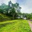  Land for sale at Ayala Westgrove Heights, Silang