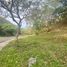  Land for sale at Ayala Westgrove Heights, Silang