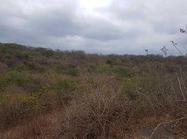  Land for sale in Portoviejo, Manabi, Portoviejo, Portoviejo