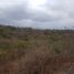  Land for sale in Portoviejo, Manabi, Portoviejo, Portoviejo