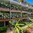 1 Bedroom Apartment for rent in Cozumel Quintana Roo, Cozumel
