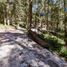  Land for sale in Mineral Del Chico, Hidalgo, Mineral Del Chico