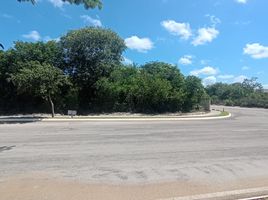  Grundstück zu verkaufen in Conkal, Yucatan, Conkal