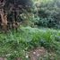  Land for sale at Crosswinds, Tagaytay City, Cavite