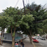 4 Habitación Casa en venta en Venustiano Carranza, Ciudad de México, Venustiano Carranza