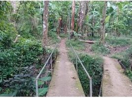  Land for sale in Lipa City, Batangas, Lipa City