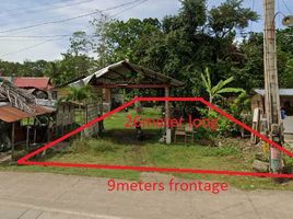  Land for sale in Bohol, Central Visayas, Dauis, Bohol