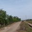 在Huaral, Lima出售的 土地, Huaral, Huaral