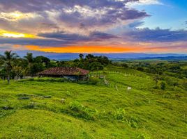  Terreno (Parcela) en venta en Tulua, Valle Del Cauca, Tulua