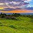 Land for sale in Tulua, Valle Del Cauca, Tulua