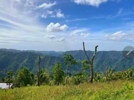  Land for sale in Cebu City, Central Visayas, Cebu City, Cebu