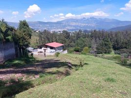  Land for sale in Alangasi, Quito, Alangasi