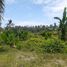  Land for sale in Central Visayas, Sibonga, Cebu, Central Visayas