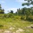  Land for sale in Central Visayas, Sibonga, Cebu, Central Visayas