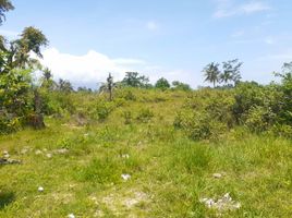  Land for sale in Central Visayas, Sibonga, Cebu, Central Visayas