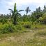  Land for sale in Central Visayas, Sibonga, Cebu, Central Visayas