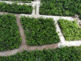  Land for sale in Cozumel, Quintana Roo, Cozumel, Quintana Roo