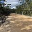  Land for sale in Cozumel, Quintana Roo, Cozumel, Quintana Roo