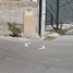 2 Bedroom House for sale in Aguascalientes, Aguascalientes, Aguascalientes, Aguascalientes