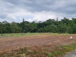  Land for sale in Talisay, Batangas, Talisay