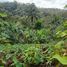  Terrain for sale in Pastaza, Puyo, Pastaza, Pastaza