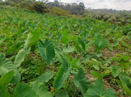  Terreno (Parcela) en venta en Pastaza, Puyo, Pastaza, Pastaza