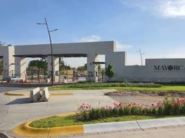  Grundstück zu verkaufen in Leon, Guanajuato, Leon, Guanajuato
