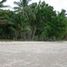  Land for sale in Puerto Princesa City, Mimaropa, Puerto Princesa City, Palawan, Mimaropa