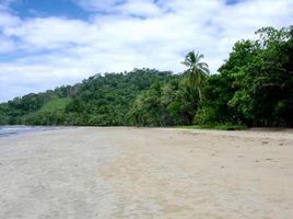  Land for sale in Puerto Princesa City, Mimaropa, Puerto Princesa City, Palawan, Mimaropa