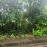  Land for sale in Liloan, Central Visayas, Liloan, Cebu, Central Visayas, Philippines