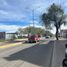  Land for rent in Irapuato, Guanajuato, Irapuato, Guanajuato