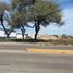  Land for rent in Irapuato, Guanajuato, Irapuato, Guanajuato