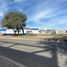  Land for rent in Irapuato, Guanajuato, Irapuato, Guanajuato