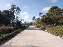  Land for sale in Alfonso, Calabarzon, Alfonso