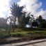  Land for sale in Alfonso, Calabarzon, Alfonso
