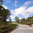  Land for sale in Alfonso, Calabarzon, Alfonso