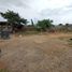  Land for sale in Montecristi, Manabi, Montecristi, Montecristi