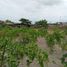  Land for sale in Montecristi, Manabi, Montecristi, Montecristi