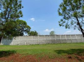  Land for sale in Muntinlupa City, Metro Manila, Muntinlupa City