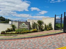  Land for sale in Bicentenario Park, Quito, Quito, Quito