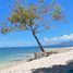 2 Bedroom Villa for sale in Cebu Central Visayas, Oslob