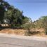  Terreno (Parcela) en venta en Puebla, Puebla, Puebla, Puebla