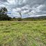  Land for sale in Malacatos Valladolid, Loja, Malacatos Valladolid, Loja, Loja