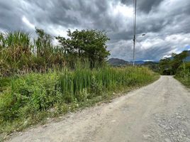  Land for sale in Malacatos Valladolid, Loja, Malacatos Valladolid, Loja, Loja