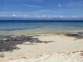  Land for sale in Moalboal, Cebu, Moalboal