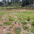  Land for sale in Guapan, Canar, Guapan