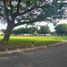  Land for sale at Ayala Alabang VIllage, Muntinlupa City