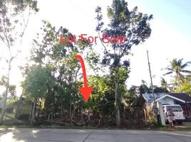  Land for sale in Dauis, Bohol, Dauis